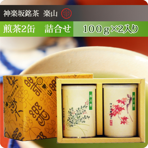 煎茶100g缶 2缶　詰合せ　掛川産