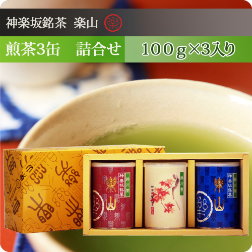 煎茶100g缶 3缶　詰合せ　掛川産